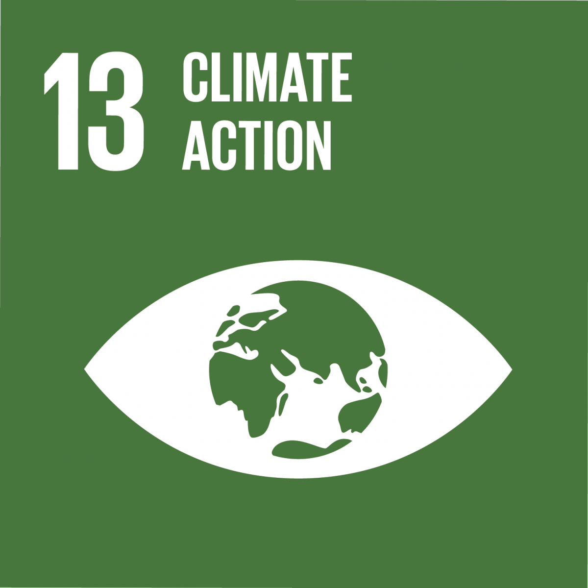 13. SDG: Maßnahmen zum Umweltschutz