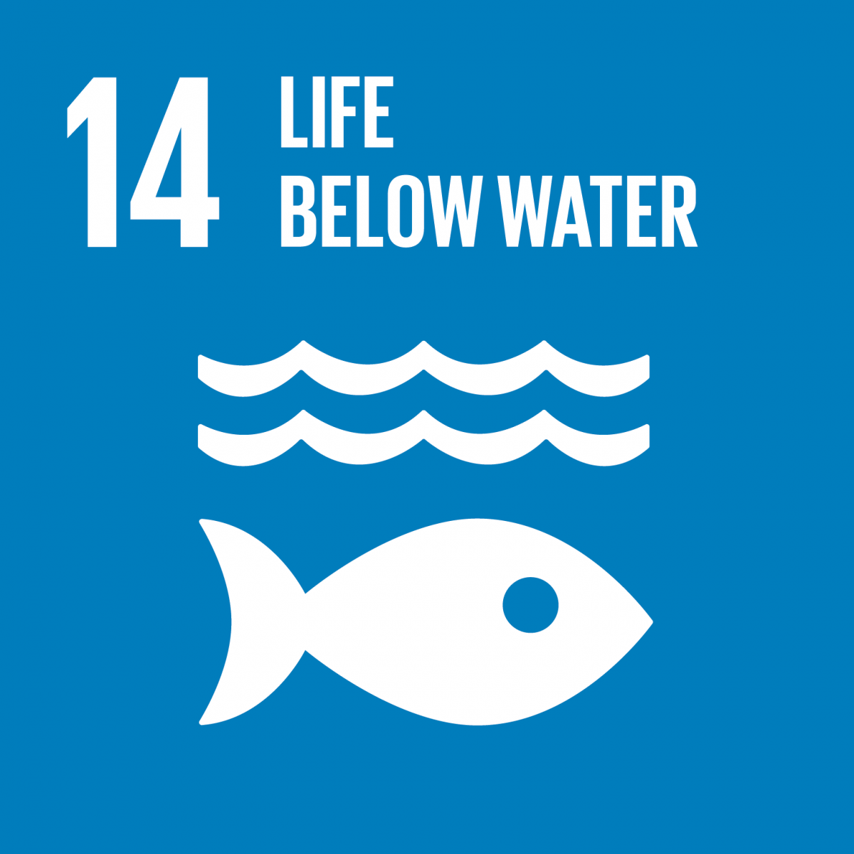 14. SDG: Leben unter Wasser