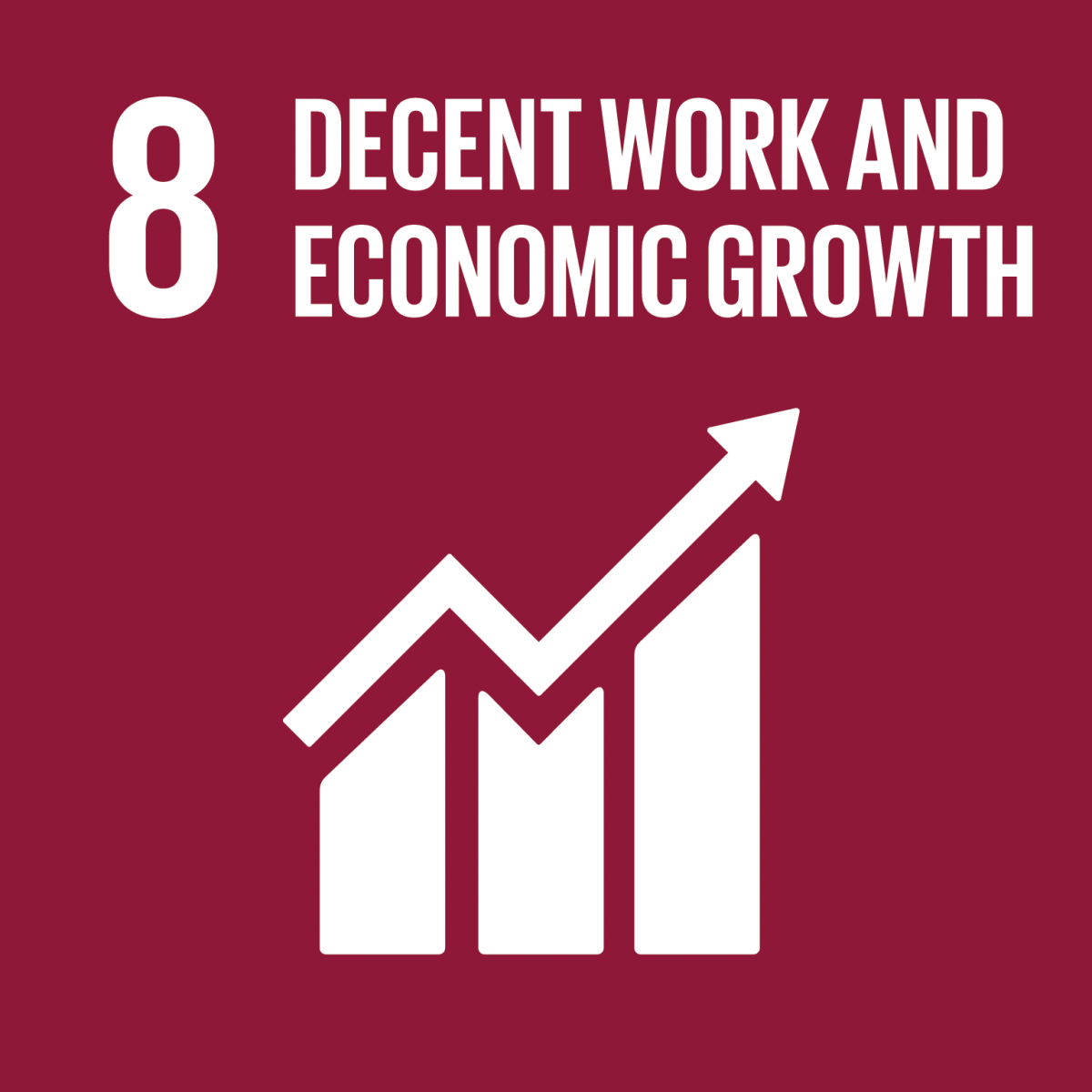8. SDG: Menschenwürdige Arbeit und Wirtschaftswachstum