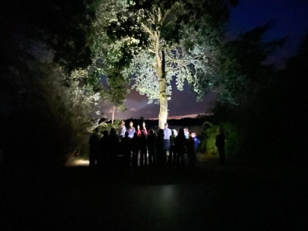 Schülerinnen und Schüler wandern mit Taschenlampen durch die Dunkelheit um den See