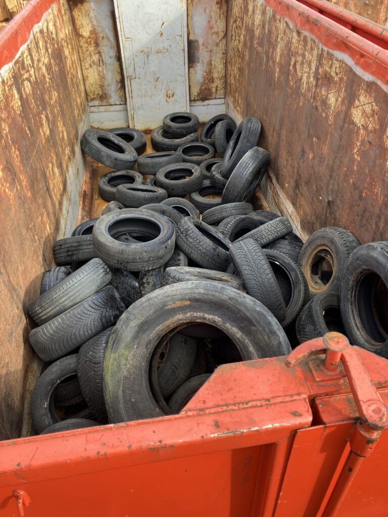 Blick in den Müllcontainer